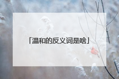 温和的反义词是啥