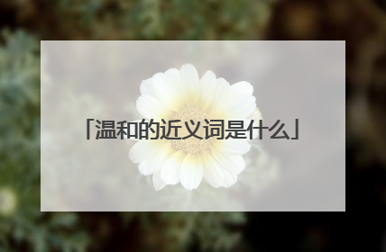 温和的近义词是什么