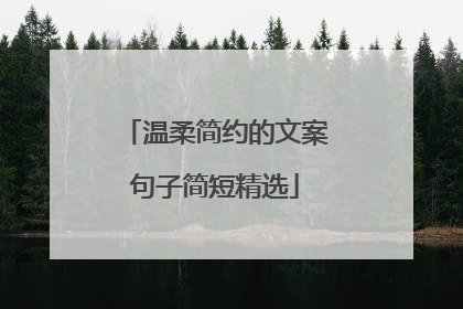 温柔简约的文案句子简短精选