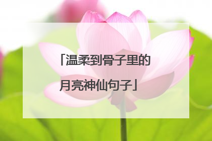 温柔到骨子里的月亮神仙句子