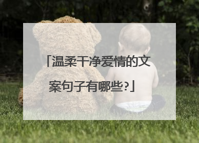 温柔干净爱情的文案句子有哪些?