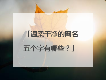 温柔干净的网名五个字有哪些?