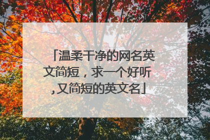 温柔干净的网名英文简短，求一个好听,又简短的英文名