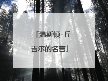 温斯顿·丘吉尔的名言