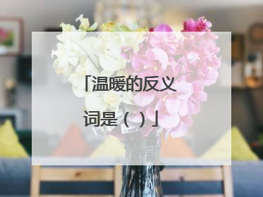 温暖的反义词是（）