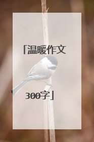 温暖作文300字