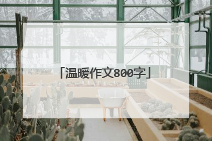 温暖作文800字