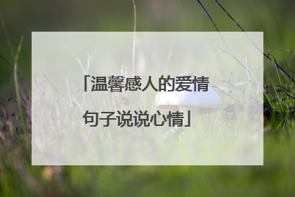 温馨感人的爱情句子说说心情
