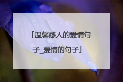 温馨感人的爱情句子_爱情的句子