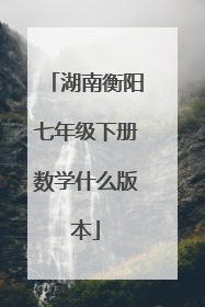 湖南衡阳七年级下册数学什么版本