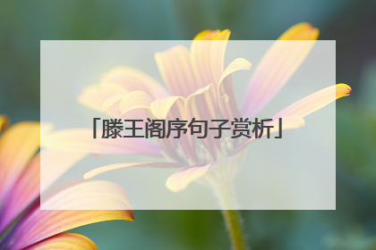 滕王阁序句子赏析