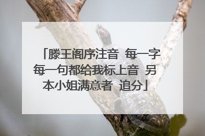 滕王阁序注音 每一字每一句都给我标上音 另本小姐满意者 追分