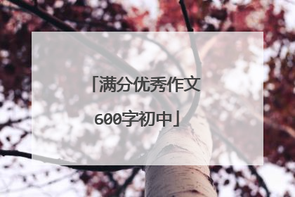 满分优秀作文600字初中