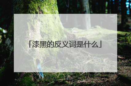 漆黑的反义词是什么