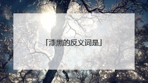 漆黑的反义词是