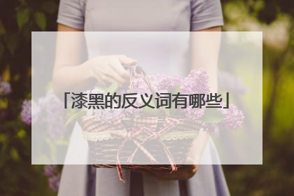 漆黑的反义词有哪些