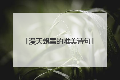 漫天飘雪的唯美诗句