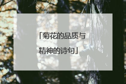 菊花的品质与精神的诗句