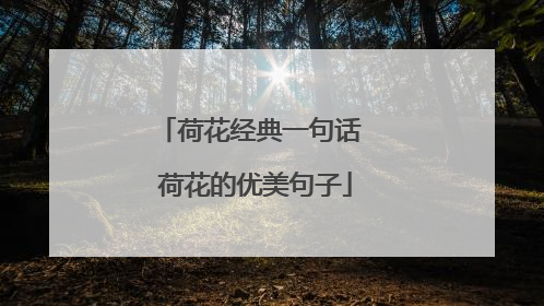 荷花经典一句话 荷花的优美句子