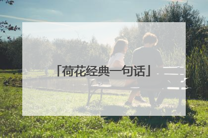 荷花经典一句话