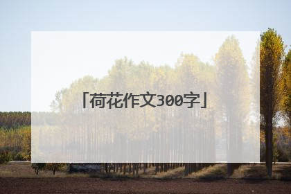 荷花作文300字