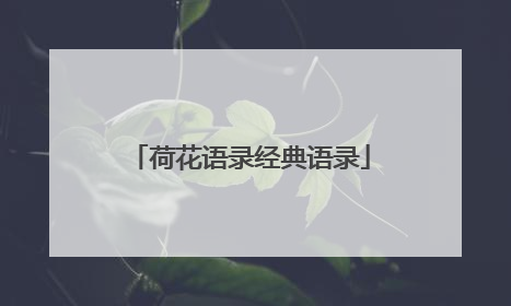 荷花语录经典语录