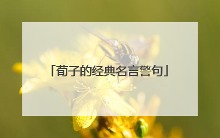 荀子的经典名言警句