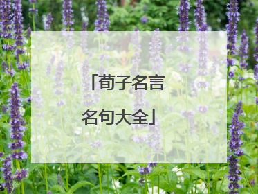 荀子名言名句大全