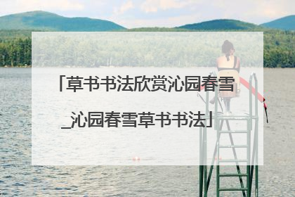 草书书法欣赏沁园春雪_沁园春雪草书书法