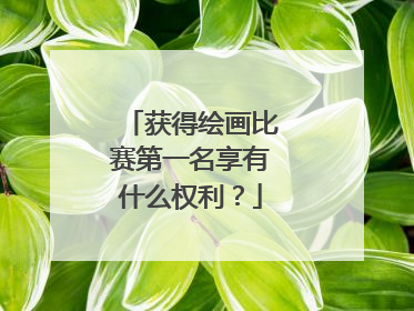 获得绘画比赛第一名享有什么权利？