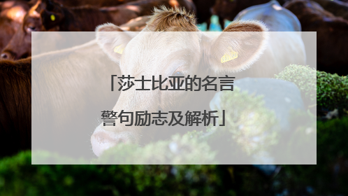 莎士比亚的名言警句励志及解析