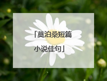 莫泊桑短篇小说佳句