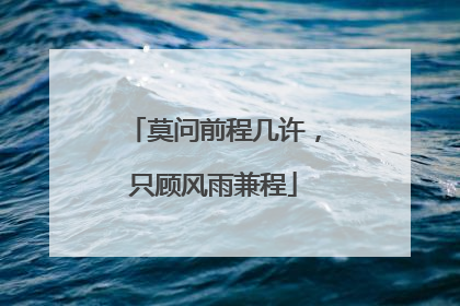 莫问前程几许，只顾风雨兼程
