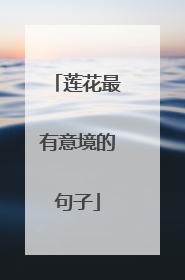 莲花最有意境的句子