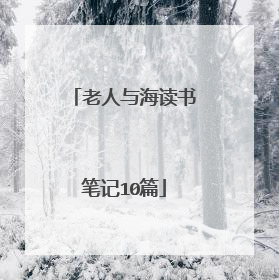 老人与海读书笔记10篇