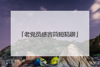 老党员感言简短精辟