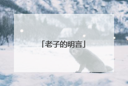 老子的明言