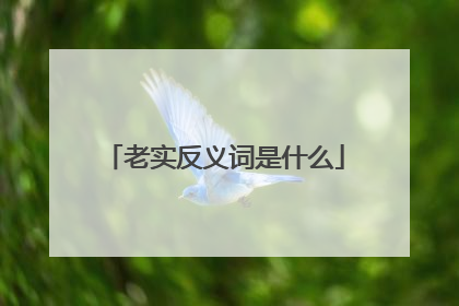 老实反义词是什么