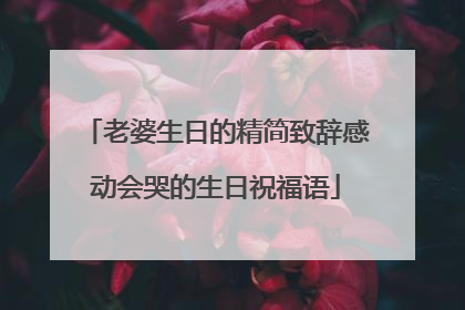 老婆生日的精简致辞感动会哭的生日祝福语