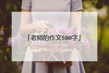 老师的作文500字