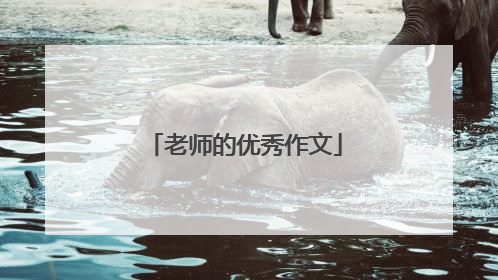 老师的优秀作文