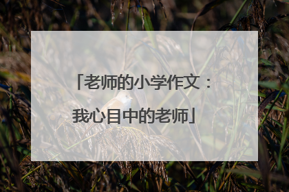 老师的小学作文：我心目中的老师