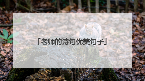 老师的诗句优美句子