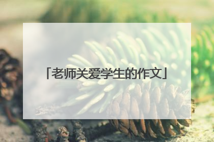 老师关爱学生的作文