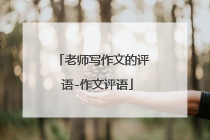 老师写作文的评语-作文评语