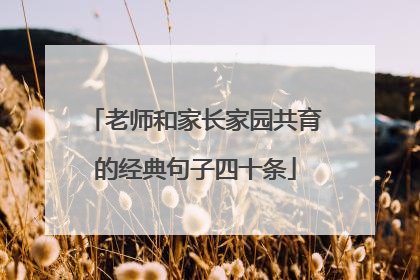老师和家长家园共育的经典句子四十条