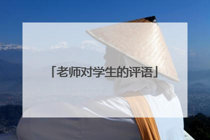 老师对学生的评语