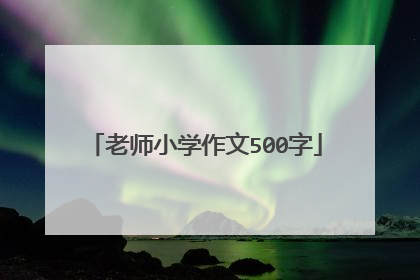 老师小学作文500字