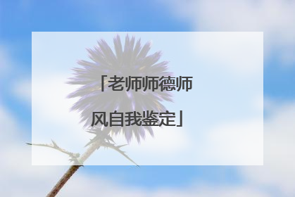 老师师德师风自我鉴定