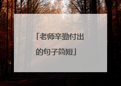 老师辛勤付出的句子简短